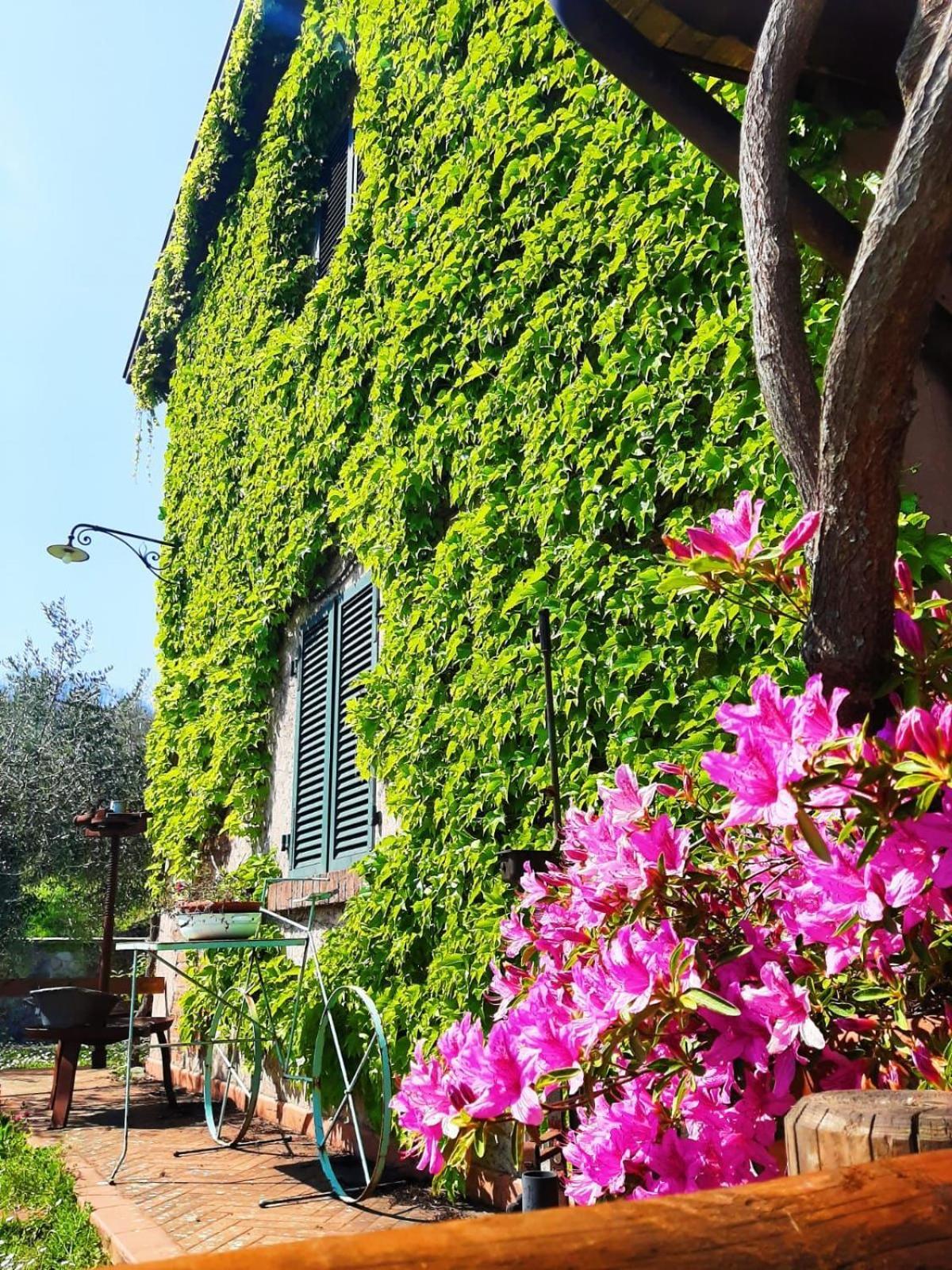 Agriturismo Ca Di Rossi Villa Mulazzo Exterior photo